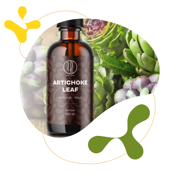 BrainMax Pure Artyčok listy tinktura