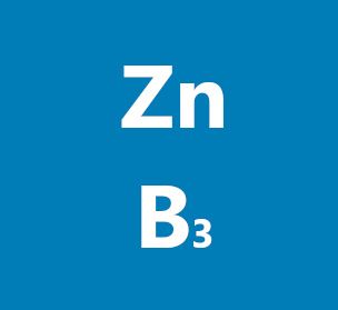 Zinok a niacín