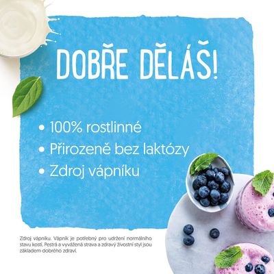 Alpro sójový nápoj s vanilkovou příchutí 250 ml