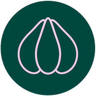 Černý fermentovaný česnek