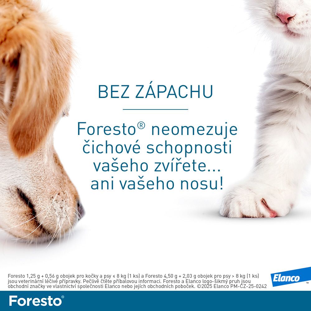 Foresto Obojek pro kočky a malé psy do 8 kg 38 cm