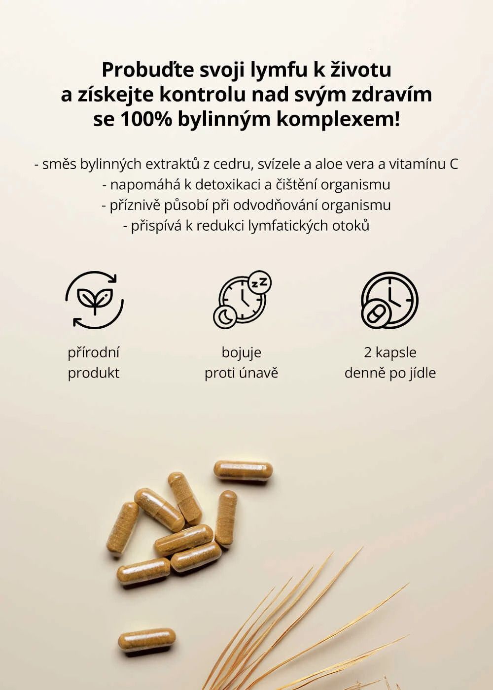 Venira lymfa system 80 kapslí