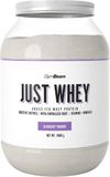 GymBeam Just Whey Borůvkový jogurt 1000 g