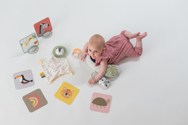 Taf Toys Sada hraček Hello Baby