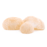 Lion's mane 450 mg