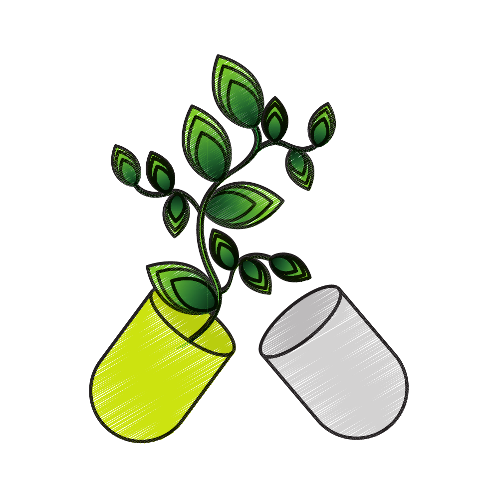 GreenFood