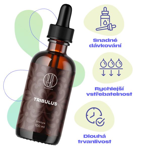 Tribulus, Kotvičník zemní, tělový a svalový tonus, obranyschopnost organismu a normální činnost nervové soustavy