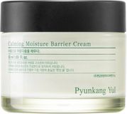 Pyunkang Yul Zklidňující hydratační krém 50 ml