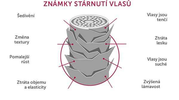 Revalid, známky stárnutí vlasů