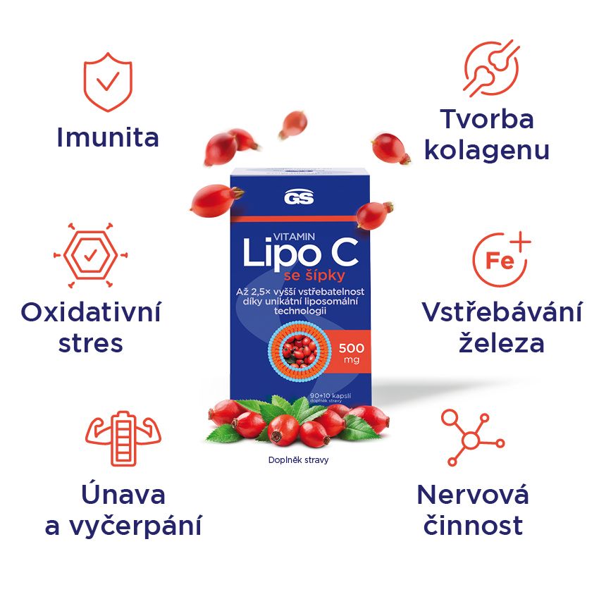 GS Vitamin Lipo C 500mg se šípky