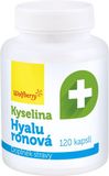 Wolfberry Kyselina hyaluronová 120 kapslí