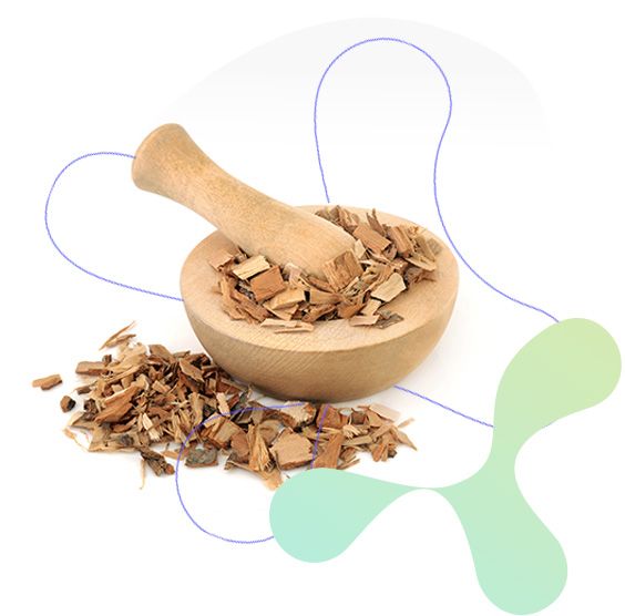 Saw Palmetto, prostata, muž, močové cesty