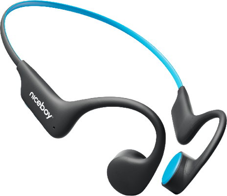 Niceboy HIVE Bones 3