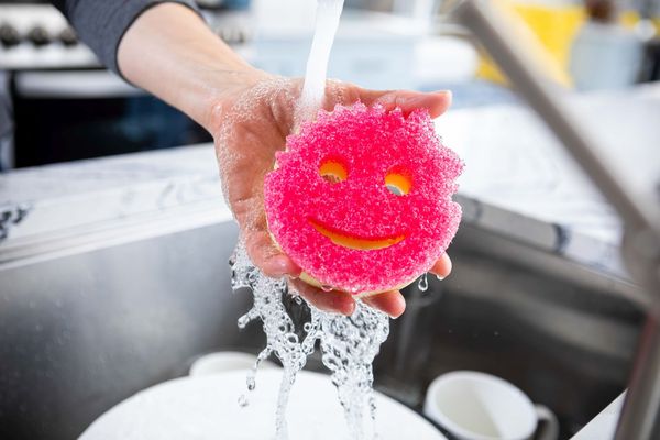 Scrub Daddy Scrub Mommy, Pink Single, Houbička růžová