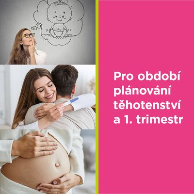 GS Mamavit 1 Plánování a 1. trimestr 110 tablet
