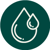 ikona