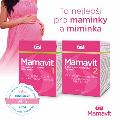 GS Mamavit 1 Plánování a 1.trimestr 30 tablet