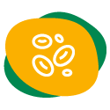 kurkuma