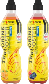 Eric Favre TESTORINE Pomeranč 500 ml