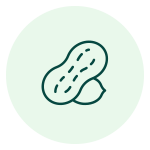 ikona