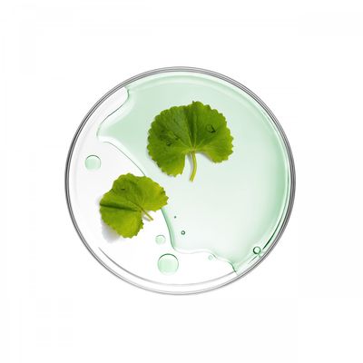 Mizon Cicaluronic water fit veganská maska 24 g