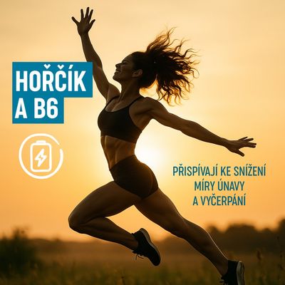 Organis Magnesium bisglycinát + B6 30 kapslí
