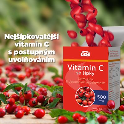 GS Vitamin C 500mg se šípky 60 tablet
