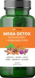 MOVit Energy Mega Detox Ostropestřec + Kurkumin FORTE 60 kapslí