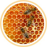 Propolis
