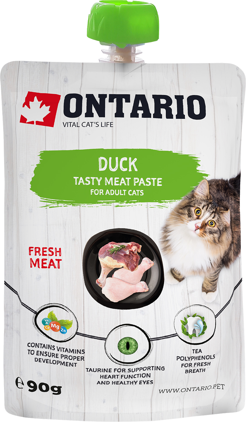 Ontario Kachní pasta 90 g