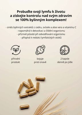Venira lymfa system 80 kapslí