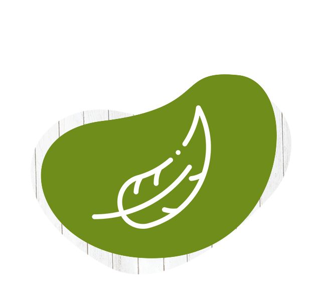 krém, Yves Rocher, pleť