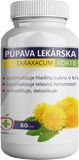 Medikapharm Taraxacum Forte 60 kapslí