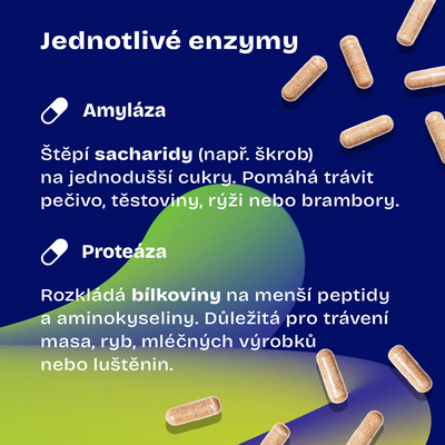 Daily Full-Spectrum Digestive Enzymes 60 kapslí