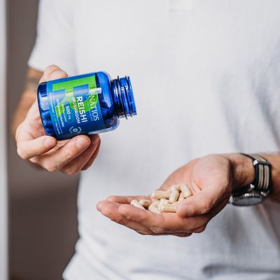 Natios Reishi Mushroom 500 mg 90 kapslí
