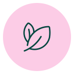 ikona