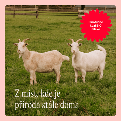Töpfer BIO 1 z kozího mléka – počáteční kojenecká výživa 400 g