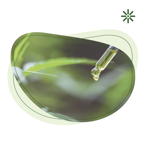 Bio, detox, detoxikační maska, spirulina, chlorella, purity vision, Bio Konopný olej