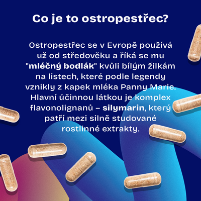 Daily Balanced Silymarin Extract (Ostropestřec mariánský) 90 kapslí