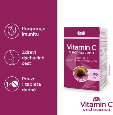 GS Vitamin C s echinaceou 100 tablet