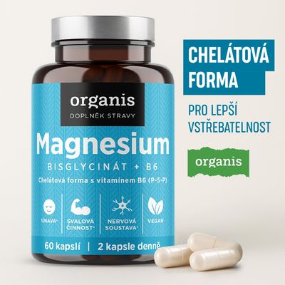 Organis Magnesium bisglycinát + B6 30 kapslí