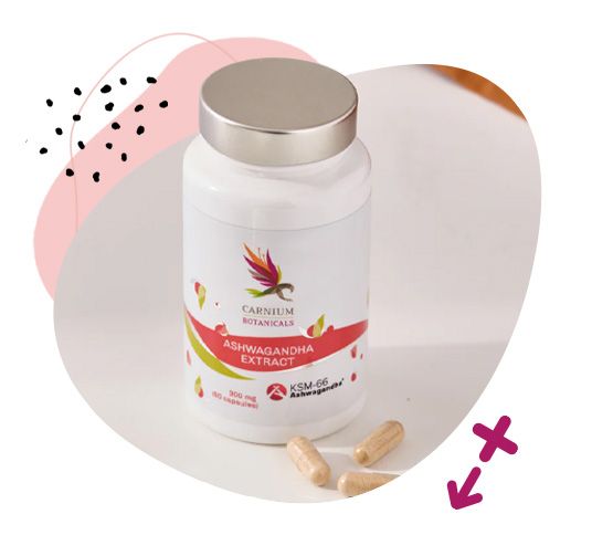 Ashwagandha, stres, úzkosti, relaxace, činnost srdce a kardiovaskulárního systému, fyzická vytrvalost