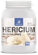 Allnature Hericium Korálovec ježatý kapsle 100 kapslí