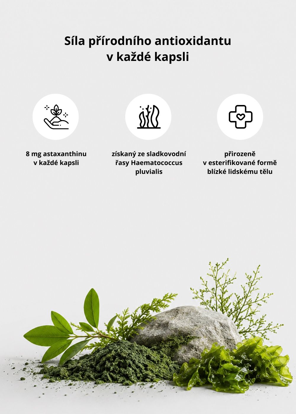 Venira Astaxanthin 60 kapslí