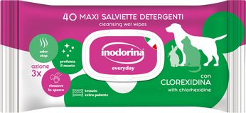 Inodorina Ubrousky čistící Chlorhexidin 40 ks