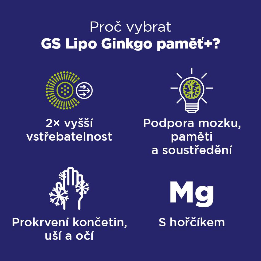 GS Lipo Ginkgo paměť+ 60 mg 60 tablet