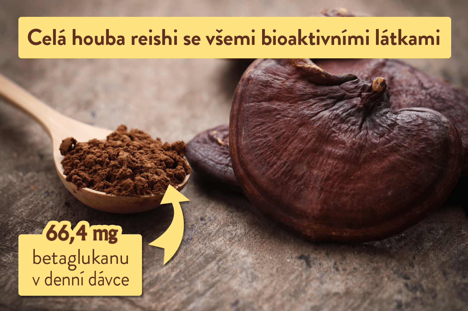 Terezia, Reishi, přírodní péče, péče o cévy a srdce, celá houba reishi se všemi bioaktivními látkami