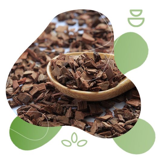 GreenFood Nutrition, metabolismus, aktivita, životní styl, tělesná hmotnost