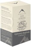 Hrotlife Hlíva Ústřičná s Vitamínem C 60 kapslí