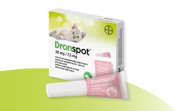 Dronspot pro malé kočky